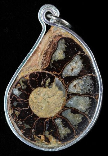 Moroccan Ammonite Fossil Pendant #58388